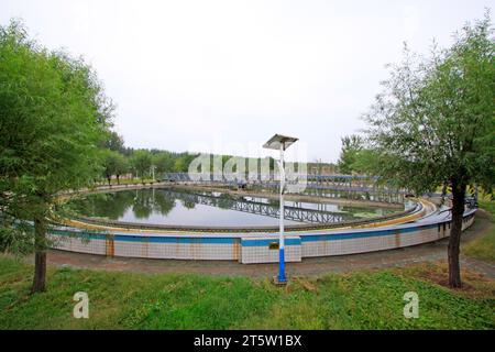 Bassin de décantation de l'usine de traitement des eaux usées, gros plan de la photo Banque D'Images