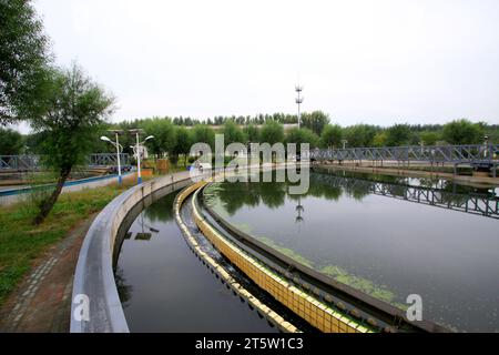 Bassin de décantation de l'usine de traitement des eaux usées, gros plan de la photo Banque D'Images