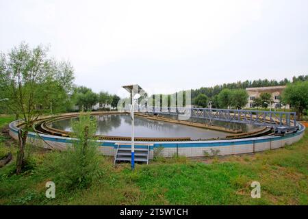 Bassin de décantation de l'usine de traitement des eaux usées, gros plan de la photo Banque D'Images