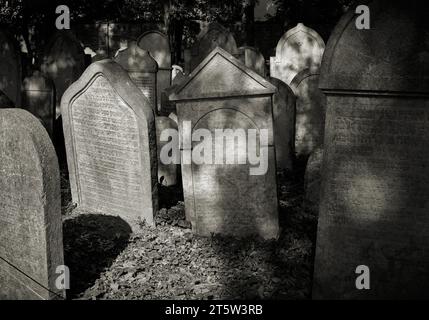Vieilles pierres tombales patinées sur un cimetière juif historique dans le quartier de Prague-Žižkov Banque D'Images