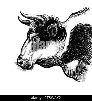 Tête de Bull. Illustration noire et blanche dessinée à la main à l'encre de style rétro Banque D'Images