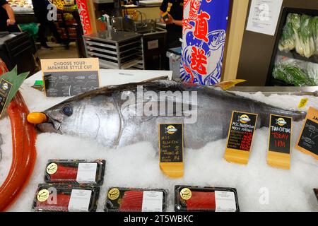 05 novembre 2023, New York. Un petit thon rouge de l'Atlantique (Thunnus thynnus) Hon maguro de 100lb/45kg pêché dans la nature est exposé au marché aux poissons Sakanaya à l'intérieur de Wegmans Astor place. Le comptoir à poissons propose du poisson frais et des fruits de mer locaux, ainsi que du poisson japonais importé du marché aux poissons Toyosu de Tokyo. Banque D'Images