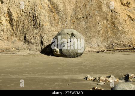 Moeraki Boulder sur Hampden Beach. Ce rocher s'érode sous l'influence du vent et des marées et ressemblera éventuellement aux rochers au premier plan Banque D'Images