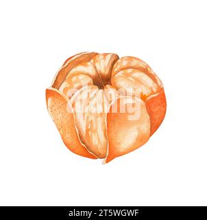 mandarine brillante avec peau. illustration à l'aquarelle. isolé sur fond blanc Banque D'Images