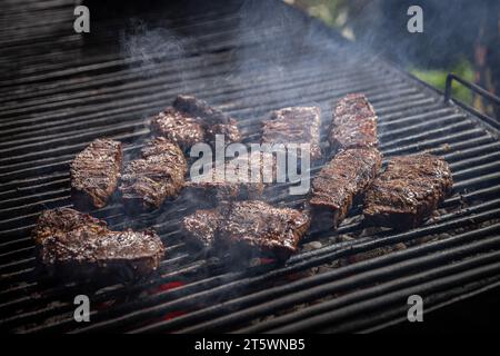 Steak de bœuf grillé sur le gril. Concept barbecue Banque D'Images