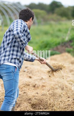 l'homme met le foin sur une botte de foin pour l'alimentation animale Banque D'Images