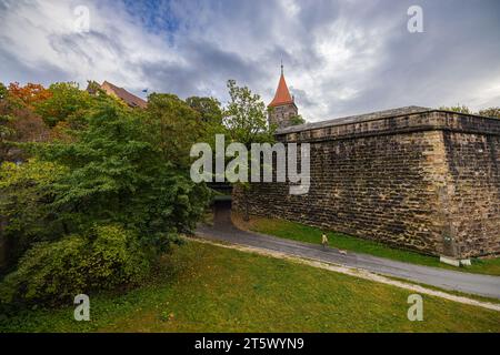 Le Kaiserburg à Nuremberg présente des douves profondes et protectrices entourant ses murs, ajoutant à son charme médiéval et à sa signification historique. Impérial ca Banque D'Images