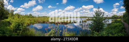 Quickborn, Schleswig-Holstein, Allemagne - 22 juin 2019 : vue sur le Himmelmoor à une ancienne zone d'extraction de tourbe ré-irriguée Banque D'Images