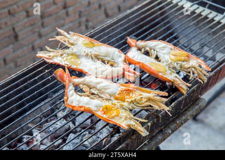 Découpe de vue de dessus de crevettes, crevettes grillées de rivière ou crevettes thaïlandaises sur blanc isolé. Banque D'Images