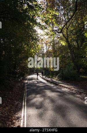Station Road, une ruelle verdoyante menant à la gare Barnes à Barnes, Londres, SW13, Angleterre, Royaume-Uni Banque D'Images