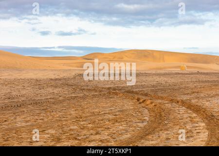 Dunes ondulantes créant un paysage d'un autre monde . Traces imprimées par le passage de véhicules de transport ou de machines au paysage désertique Banque D'Images