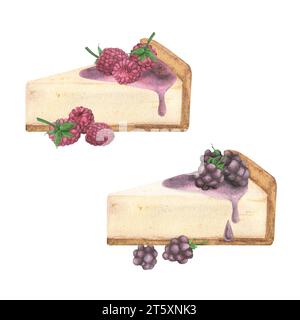 Un ensemble de morceaux de tarte crue, cheesecake au sirop, framboises et mûres sur fond blanc. Illustration à l'aquarelle dessinée à la main. Modèle Banque D'Images