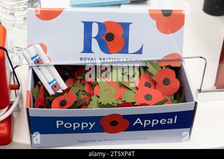 Londres, Royaume-Uni. 07 novembre 2023. Alors que nous approchons du dimanche du souvenir, des panneaux de coquelicot rouge sont visibles dans tout le pays, y compris à Londres, alors que les gens se préparent pour l’occasion. Crédit : Sinai Noor/Alamy Live News crédit : Sinai Noor/Alamy Live News Banque D'Images