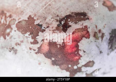 Peinture acrylique fluide abstraite. Fond abstrait rouge marbré. Banque D'Images