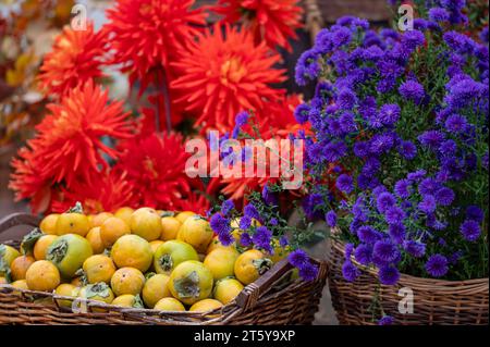 Un panier en osier avec des kakis frais et un bouquet de fleurs d'automne, gros plan Banque D'Images