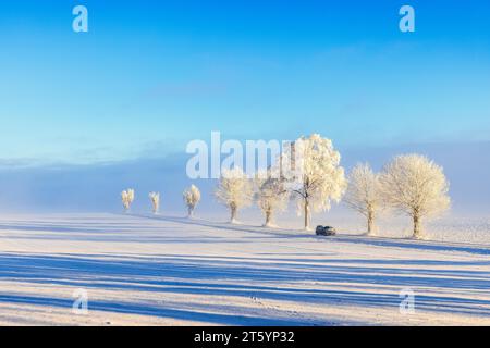 Route bordée d'arbres givrés avec une voiture dans un beau paysage hivernal enneigé Banque D'Images