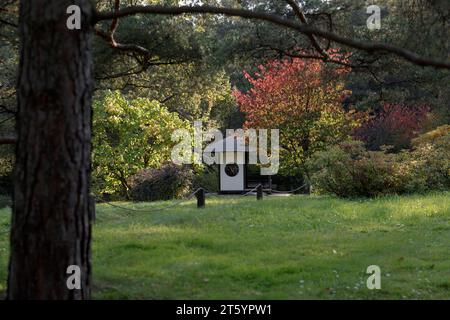 Maison de thé traditionnelle japonaise avec arbre de sakura croissant et feuillage coloré. Un jour d'automne dans un jardin japonais. Le jardin botanique principal de la Rus Banque D'Images