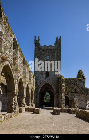 Abbaye de Jerpoint, County Kilkenny, Ireland Banque D'Images