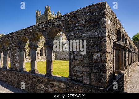 Abbaye de Jerpoint, County Kilkenny, Ireland Banque D'Images