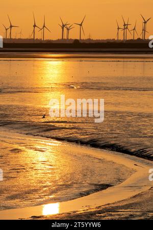 Paysage de boue et de nombreuses éoliennes dans les marais, mer du Nord, Norddeich, Norden, Frise orientale, basse-Saxe, Allemagne Banque D'Images