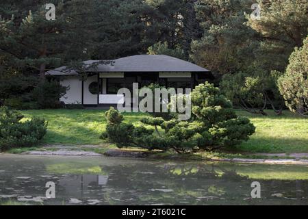 Maison de thé traditionnelle japonaise et arbre de pin croissant en face d'un étang. Une journée ensoleillée d'automne dans un jardin japonais. Jardin botanique principal de la Russie Banque D'Images