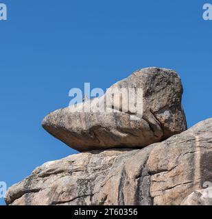 Bouquetin ibérique occidental, Capra pyrenaica subsp. victoriae. Photo prise à la Pedriza, Parc National des montagnes Guadarrama, Madrid, Espagne Banque D'Images