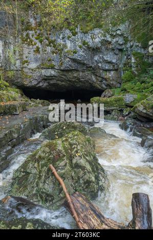 Afon Mellte entre à Porth yr Ogof, Bannau Brycheiniog Banque D'Images