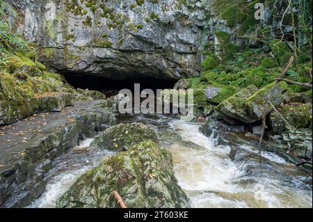 Afon Mellte entre à Porth yr Ogof, Bannau Brycheiniog Banque D'Images