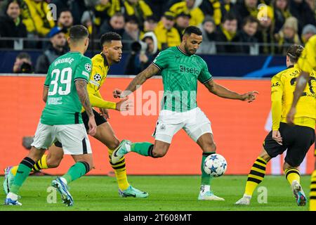 DORTMUND - Callum Wilson du Newcastle United FC lors du match de l'UEFA Champions League opposant le Borussia Dortmund au Newcastle United FC au signal Iduna Park le 7 novembre 2023 à Dortmund, en Allemagne. ANP | Hollandse Hoogte | GERRIT VAN COLOGNE Banque D'Images