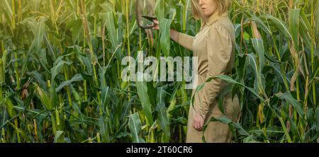 Belle fille modèle posant à la caméra au lever du soleil du matin sur le champ de maïs. Agriculture durable et concept de produits naturels et écologiques. Banque D'Images