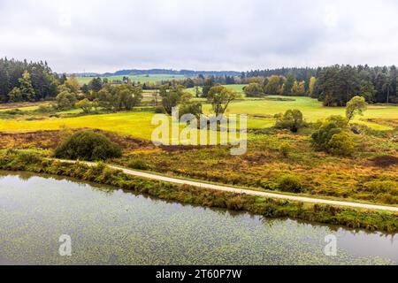 Pour préserver la biodiversité, les étangs qui ne sont plus utilisés pour la pisciculture sont utilisés pour la conservation de la nature et réhumidifiés. Tirschenreuth, Allemagne Banque D'Images