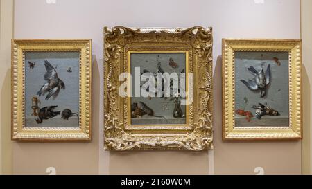 Nature morte avec titmouse, souris, noix, insectes et vase de jasmins peintures de Jean-Baptiste Oudry exposées au Musée Agen, France Banque D'Images