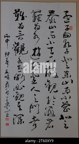 Calligraphie traditionnelle chinoise, gros plan de la photo Banque D'Images