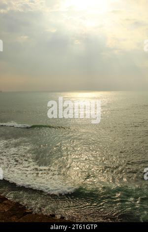 Vue sur l'arbre et l'océan depuis l'ancienne forteresse de Galle, Sri Lanka. Copier l'espace pour le texte, l'image verticale Banque D'Images