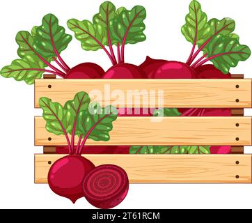 Illustration colorée de dessin animé d'une caisse en bois remplie de radis frais Illustration de Vecteur