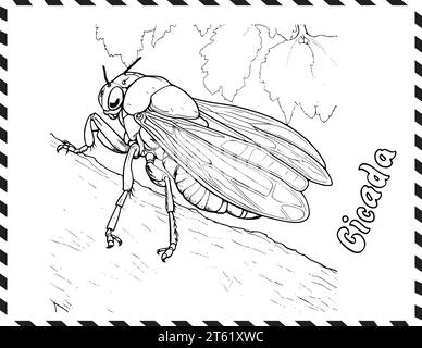 Page de coloriage Cicada pour les enfants Illustration de Vecteur