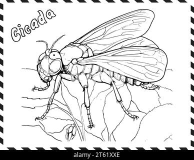 Page de coloriage Cicada pour les enfants Illustration de Vecteur