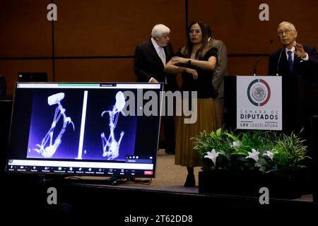 Mexico, Mexique. 07 novembre 2023. 7 novembre 2023, Mexico, Mexique : le radiologue Daniel Mendoza lors de son intervention à la deuxième audience publique mexicaine sur les phénomènes anormaux non identifiés à la Chambre des députés à Mexico. Le 7 novembre 2023 à Mexico, Mexique (photo de Luis Barron/Eyepix Group/Sipa USA). Crédit : SIPA USA/Alamy Live News Banque D'Images