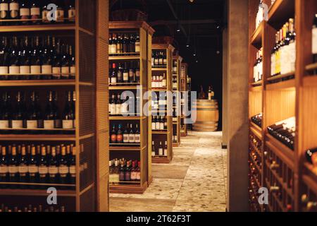 Long couloir avec étagères en bois rempli des bouteilles de vin d'élite dans la cave du magasin d'alcool. Banque D'Images