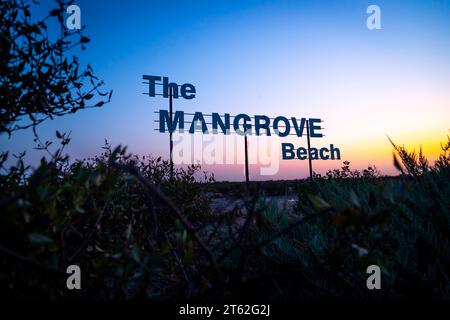 La plage de mangrove de Sharjah Banque D'Images