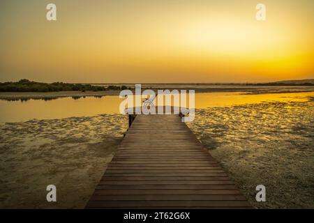 La plage de mangrove de Sharjah Banque D'Images