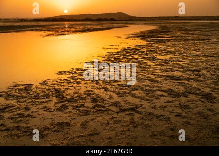 La plage de mangrove de Sharjah Banque D'Images