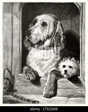 Vieille illustration représentant un grand et un petit chien dans le même chenil. Par Freeman, publ. Sur magasin pittoresque, Paris, 1849 Banque D'Images