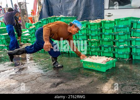 Village de pêcheurs de Samaesan, Thaïlande, 1 septembre 2023 : un ouvrier pousse un plateau rempli de poisson sur le sol mouillé pour empiler pour les acheteurs potentiels. Banque D'Images