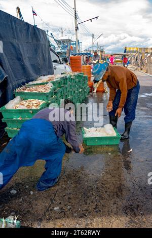 Village de pêcheurs de Samaesan, Thaïlande, 1 septembre 2023 : un ouvrier pousse un plateau rempli de poisson sur le sol mouillé pour empiler pour les acheteurs potentiels. Banque D'Images