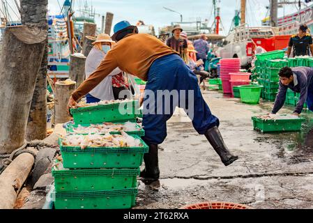 Village de pêcheurs de Samaesan, Thaïlande, 1 septembre 2023 : un ouvrier pousse un plateau rempli de poisson sur le sol mouillé pour empiler pour les acheteurs potentiels. Banque D'Images