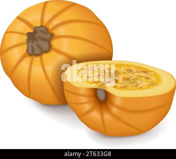 Citrouilles à la tarte à sucre entières et hachées. Courge d'hiver. Cucurbita pepo. Fruits et légumes. Illustration vectorielle isolée. Illustration de Vecteur