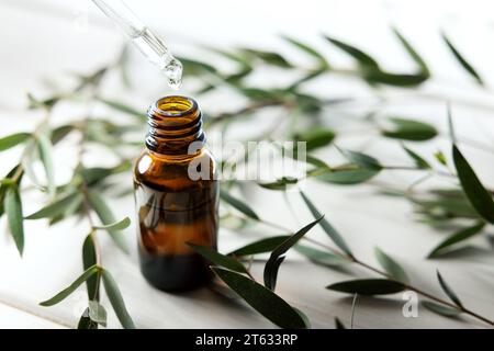 bouteille d'huile d'eucalyptus avec pipette compte-gouttes et feuilles vertes. espace de copie Banque D'Images