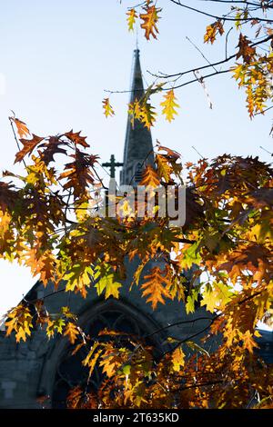 Couleur d'automne à St. Nicholas Churchyard, Warwick, Warwickshire, Angleterre, Royaume-Uni Banque D'Images