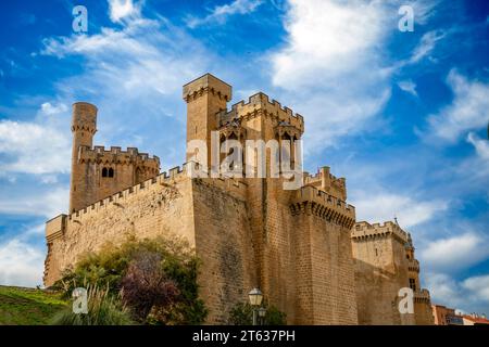 Vue sur le château médiéval d'Olite, Navarre, Espagne, avec ses nombreuses tours élancées à la lumière du midi. Banque D'Images